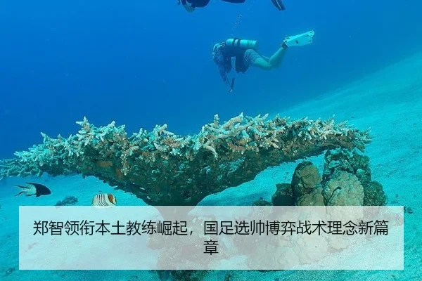 郑智领衔本土教练崛起，国足选帅博弈战术理念新篇章