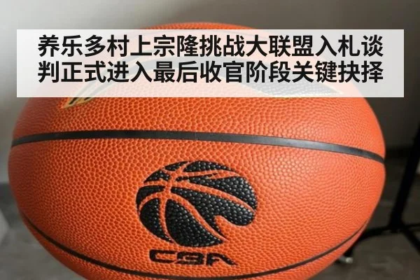 养乐多村上宗隆挑战大联盟入札谈判正式进入最后收官阶段关键抉择